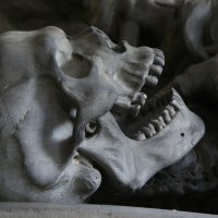 Anatomie: Definition, Ursprünge und Wissenswertes