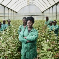 Fair Trade: Begriff, Definition, Kriterien und Kritik